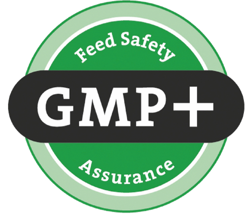 logo gmp