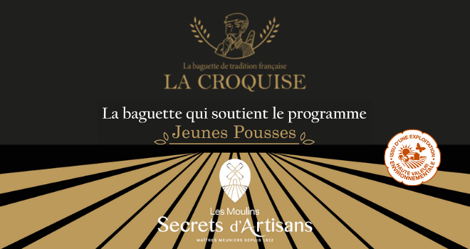 Croquise