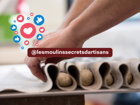 Suivez les Moulins SDA sur les réseaux sociaux