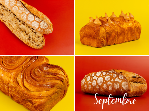 recettes du mois de septembre 2024